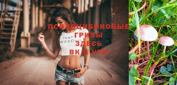 apvp Балабаново